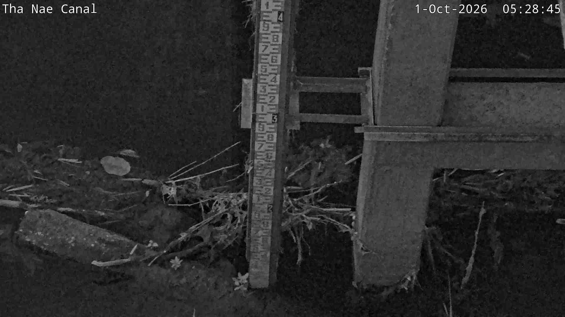Latest picture from the Tha Nae Canal camera