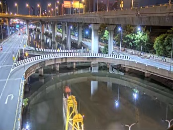 Latest picture from the Makkasan Swamp camera