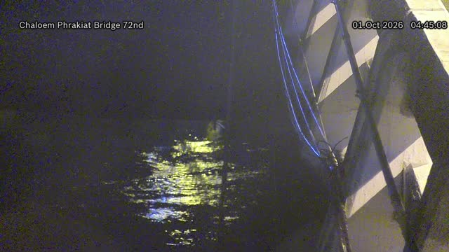 Latest picture from the Chaloem Phrakiat Bridge 72nd Anniversary of Her Majesty the Queen camera