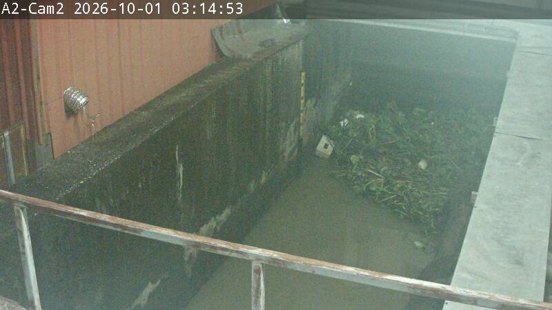 Latest picture from the Wat Tamnak Tai Camera 1 camera