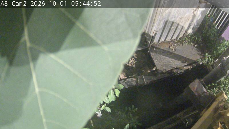 Latest picture from the Khlong Makham Phrong, Camera 2 camera