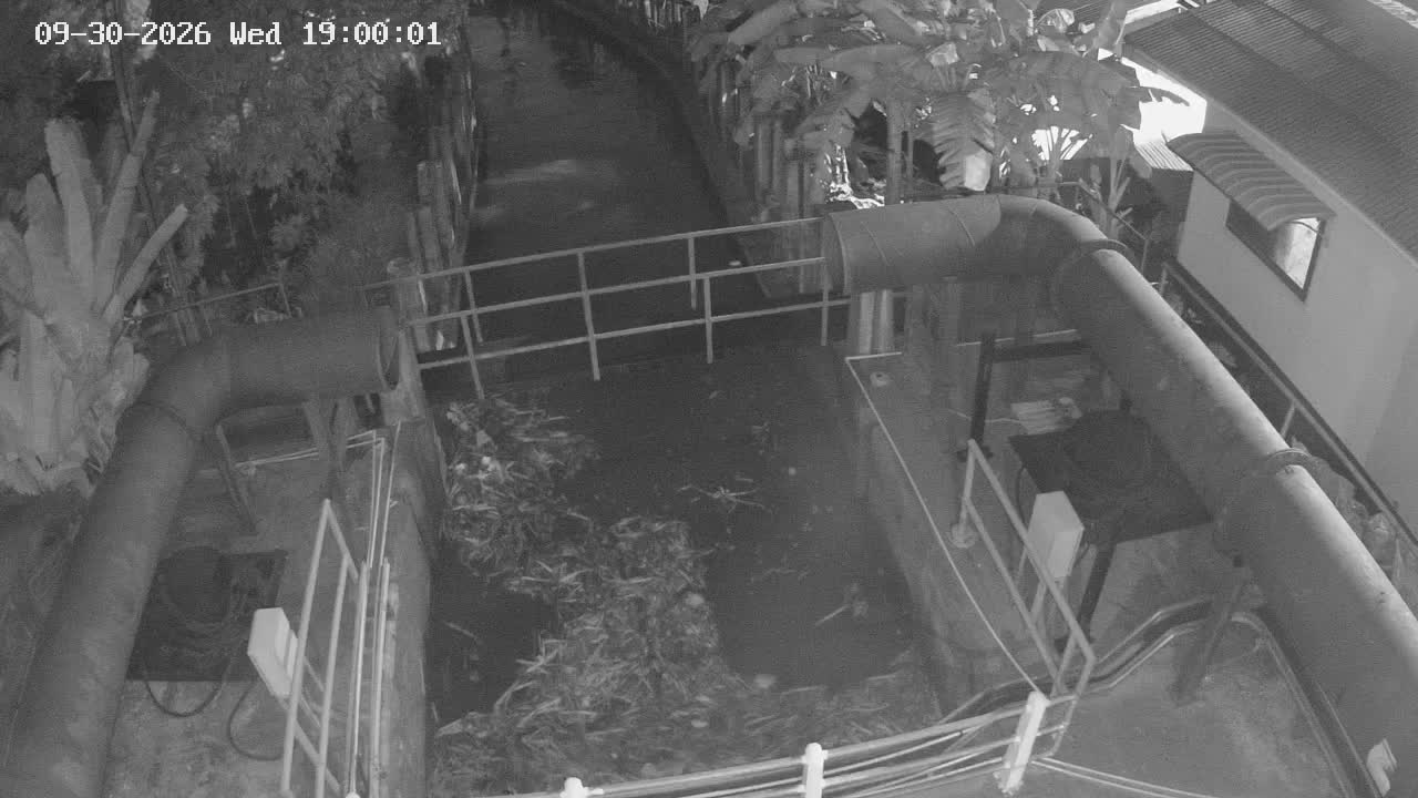 Latest picture from the Khlong Bang Phai Noi Camera 1 camera
