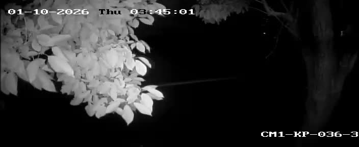 Latest picture from the In front of Bang Kapi District Office (3)-CAM3 camera