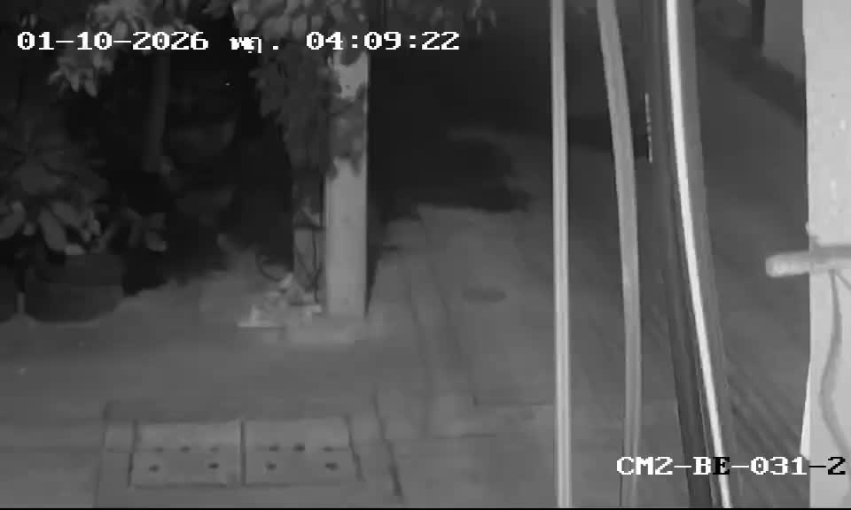 ภาพล่าสุดจากกล้อง ซอยเศรษฐกิจ 31/1-CAM2