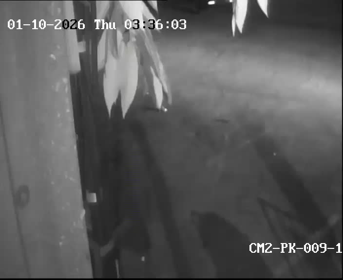 Latest picture from the Soi Wachiratham Sathit 27-29-CAM1 camera