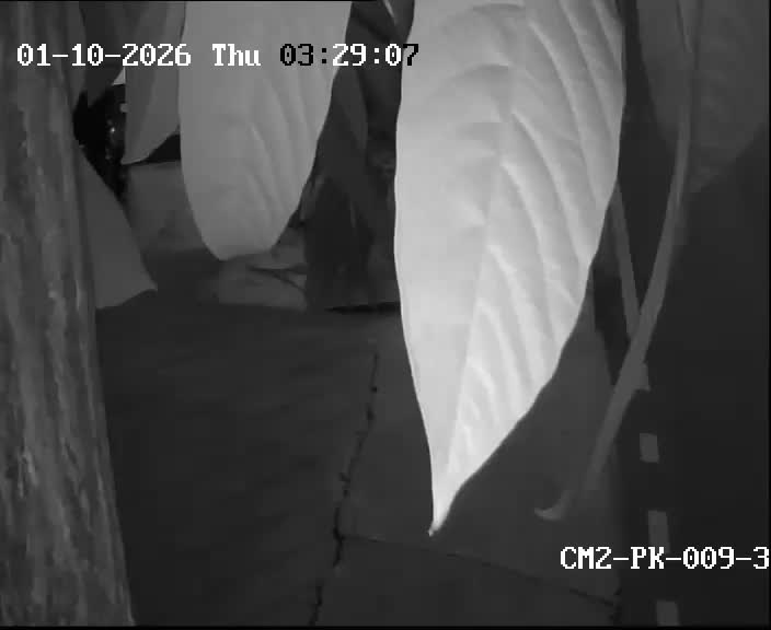 Latest picture from the Soi Wachiratham Sathit 27-29-CAM3 camera